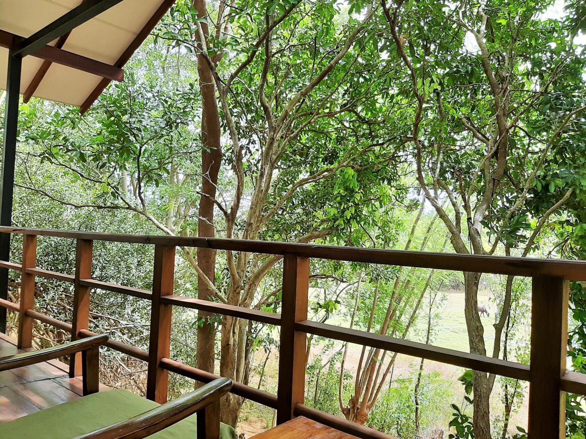 Elephant Lodge اوداوالاوي المظهر الخارجي الصورة