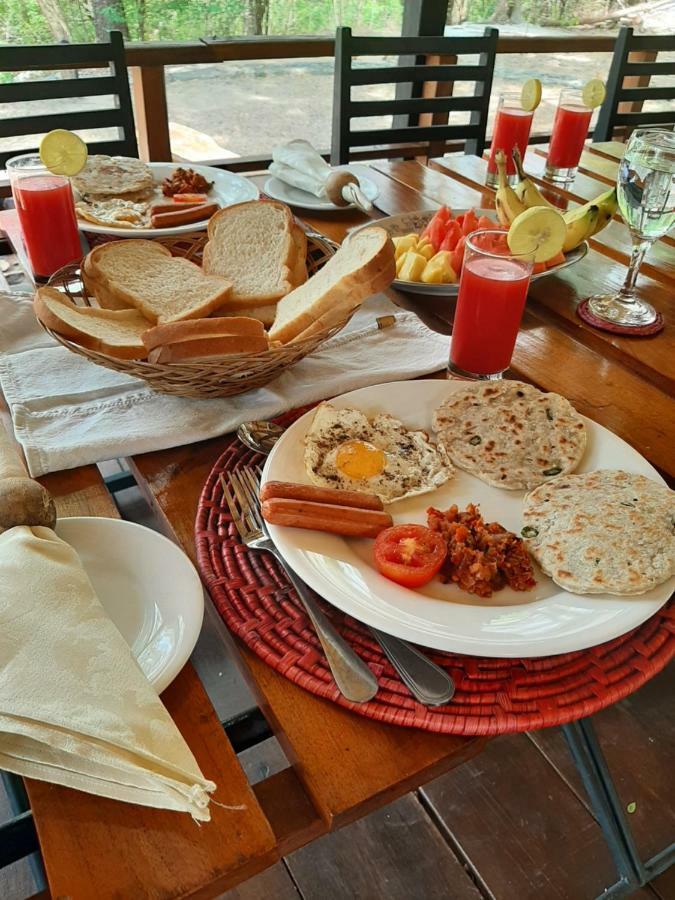 Elephant Lodge اوداوالاوي المظهر الخارجي الصورة