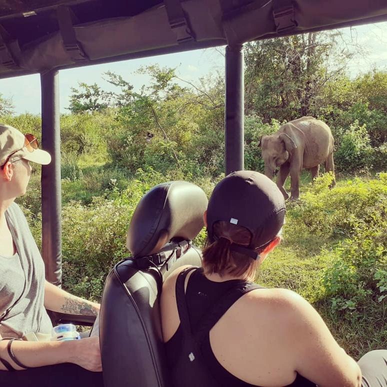 Elephant Lodge اوداوالاوي المظهر الخارجي الصورة