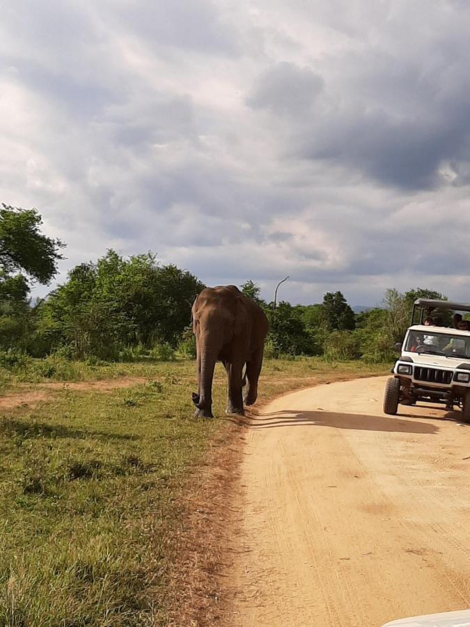 Elephant Lodge اوداوالاوي المظهر الخارجي الصورة